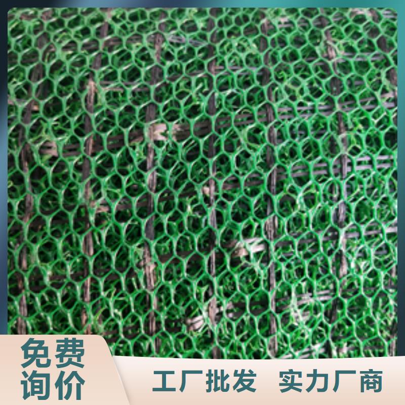 三维土工网供货及时