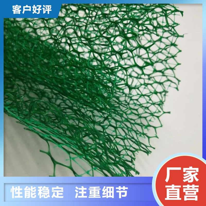 澄迈县三维植被网生产厂家多行业适用