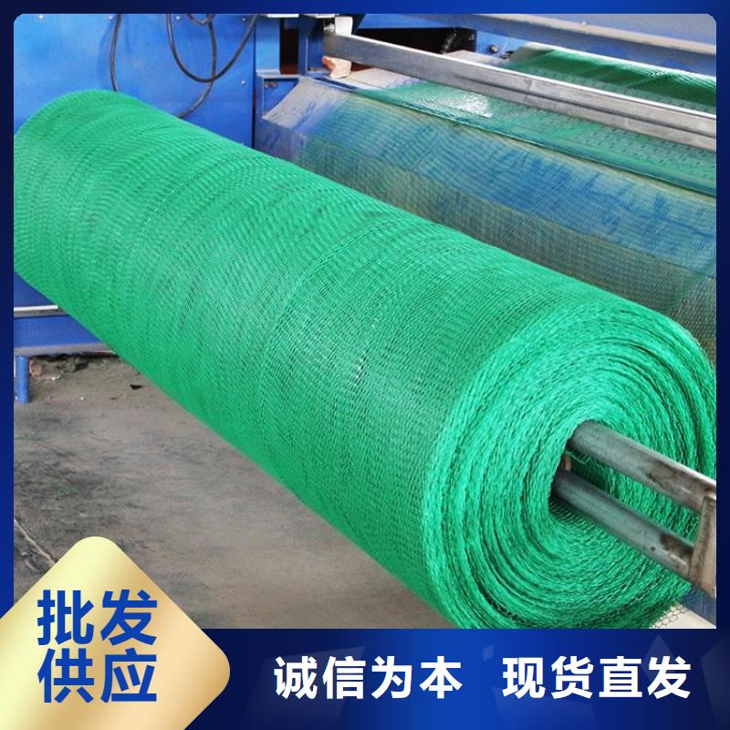 三维植被网土工席垫多种场景适用本地生产厂家