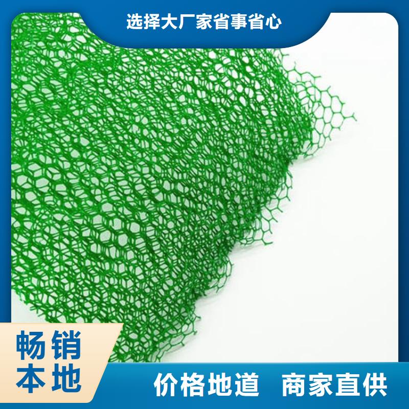 【三维植被网短丝土工布精选好货】当地货源