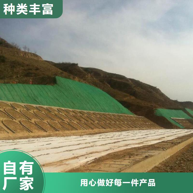 三维植被网涤纶格栅支持批发零售严格把控每一处细节