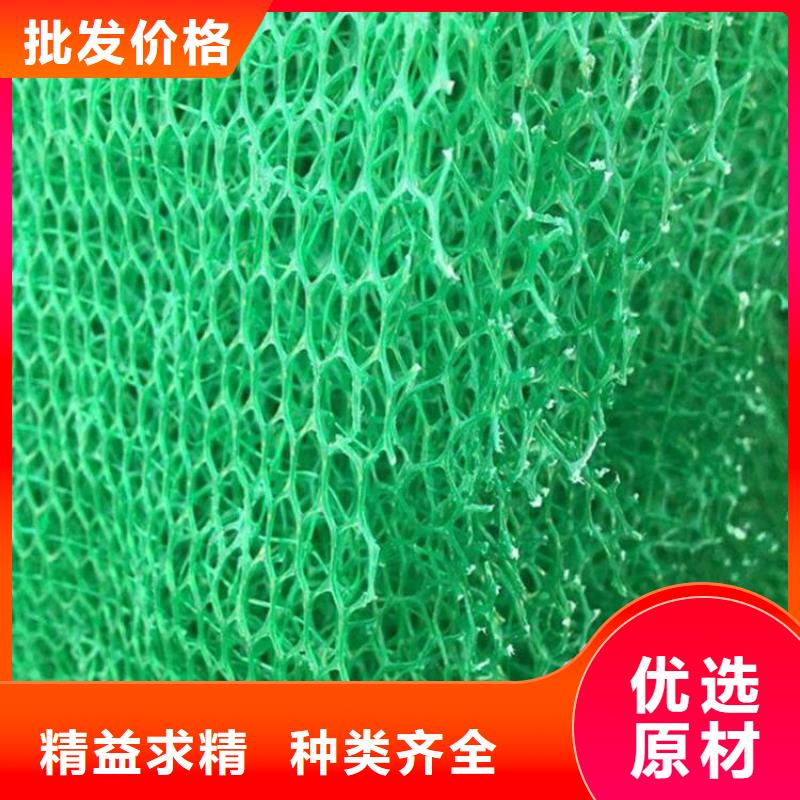 三维植被网HDPE土工膜专注生产N年同城制造商