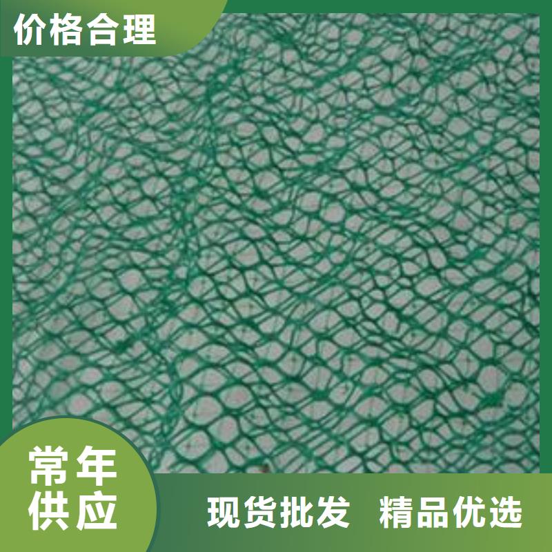 三维植被网生产厂家当地货源