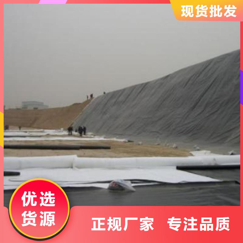 土工膜双向塑料土工格栅实力厂家直销实力商家