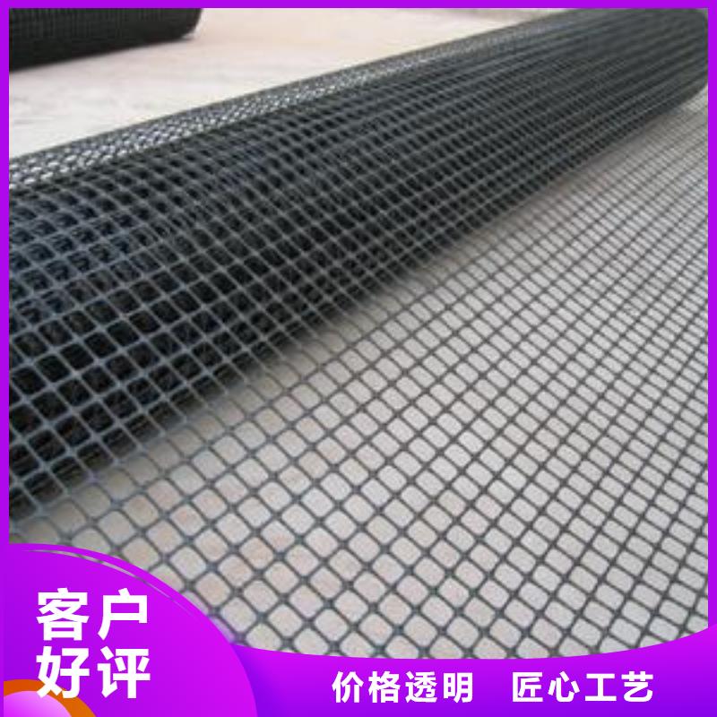 ​双向塑料土工格栅水土保护毯货品齐全本地供应商