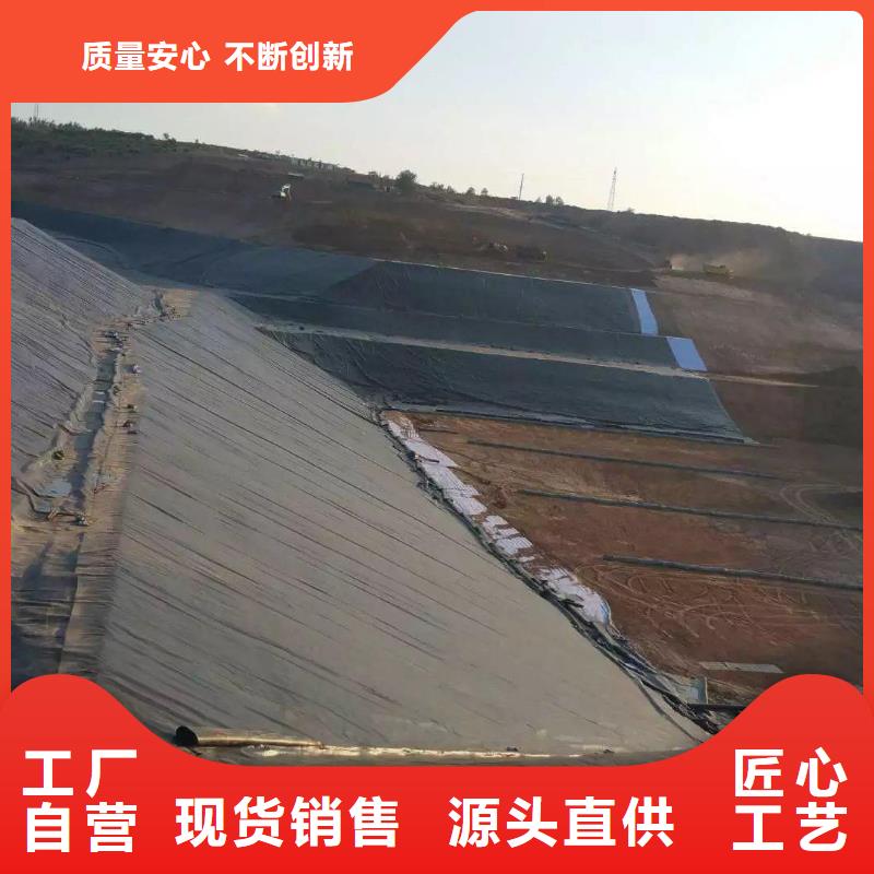 土工膜【土工布】的简单介绍快速发货