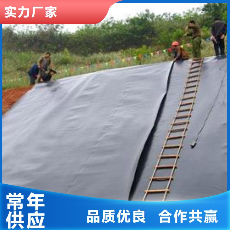 土工膜生产厂家货源直供