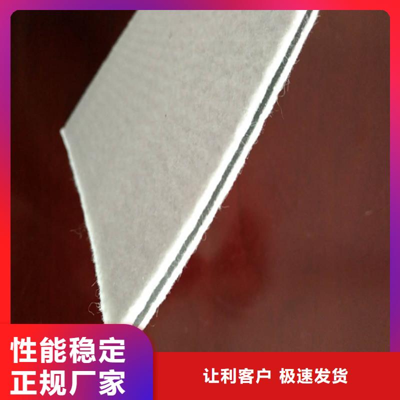 【土工膜】复合土工膜注重细节现货批发