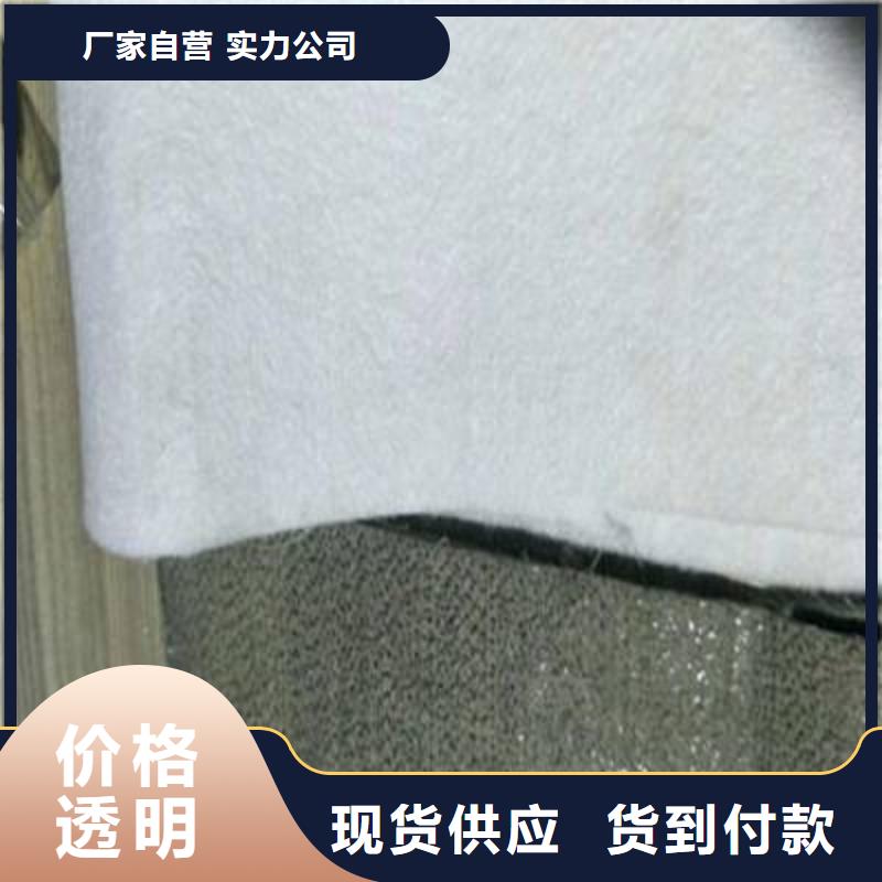 【土工布】三维植被网质量优价格低款式新颖