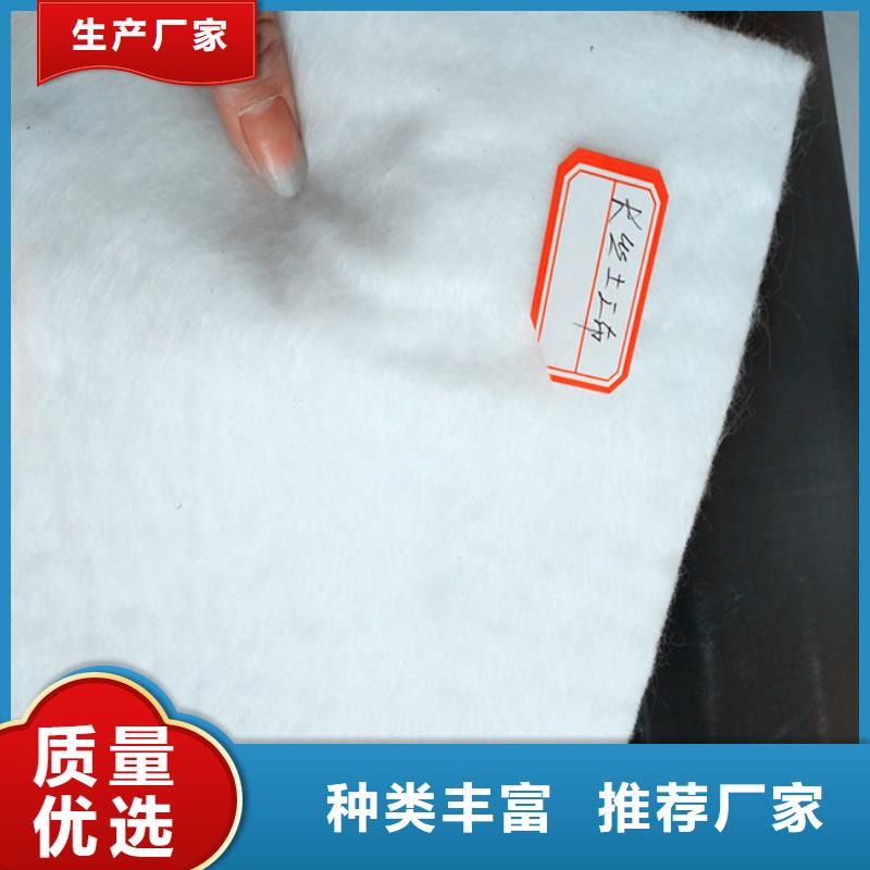 土工布_涤纶土工格栅海量现货厂家十分靠谱