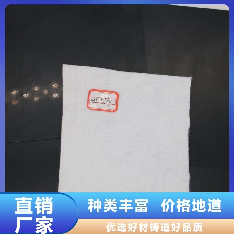 土工布-双向塑料土工格栅高标准高品质本地货源