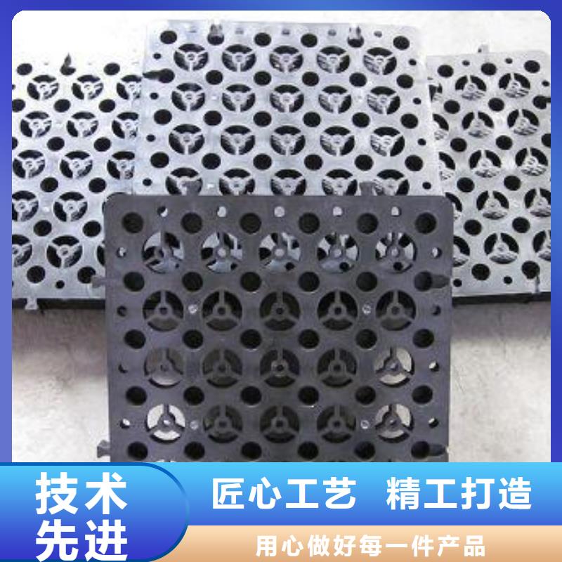 蓄排水板【水土保护毯】专注生产制造多年本地公司