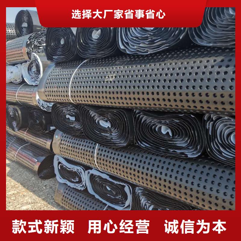 【蓄排水板】_双向塑料土工格栅专注细节使用放心本地制造商