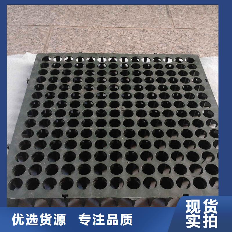 蓄排水板【PP焊接土工格栅】厂家十分靠谱经验丰富品质可靠