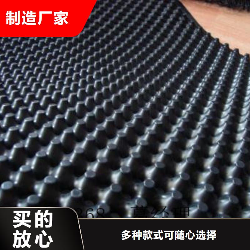 蓄排水板单向拉伸塑料格栅厂家大量现货质保一年