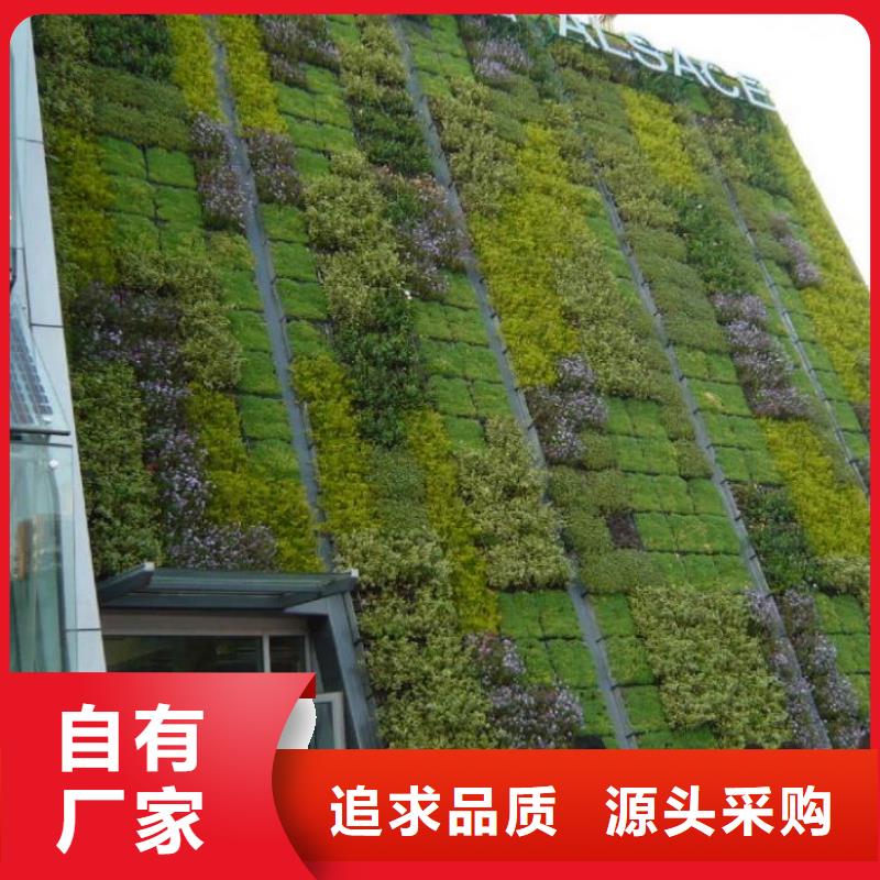 【三维植被网细节决定品质】同城经销商