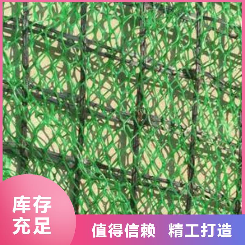 三维植被网-长丝土工布货源足质量好本地供应商