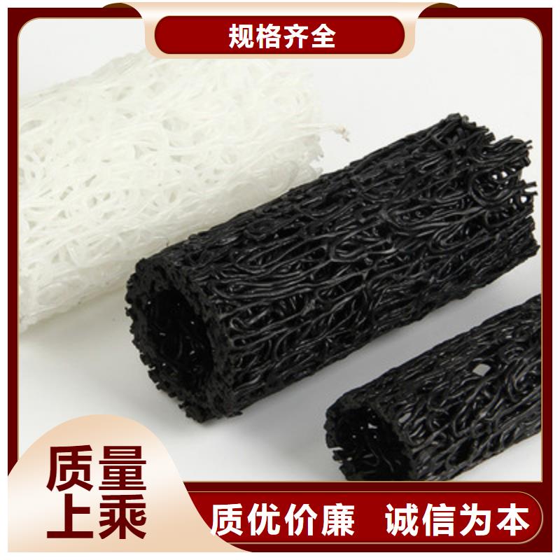 塑料盲沟单向拉伸塑料格栅厂家供应当地制造商