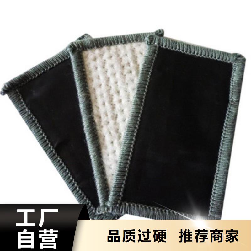 膨润土防水毯PP焊接土工格栅定制不额外收费当地公司