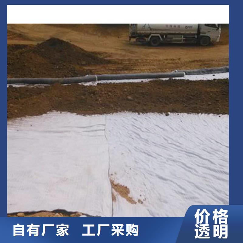 【膨润土防水毯三维复合排水网买的是放心】质量安心