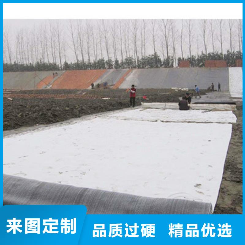 膨润土防水毯【土工布】质量优价格低当地生产厂家