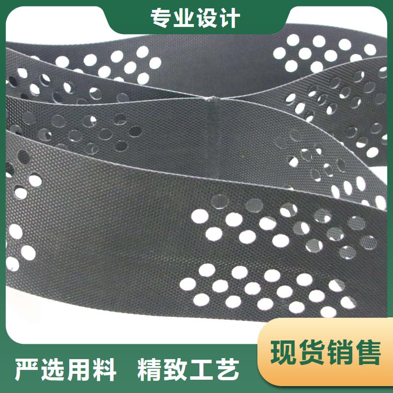土工格室三维复合排水网严选材质您身边的厂家