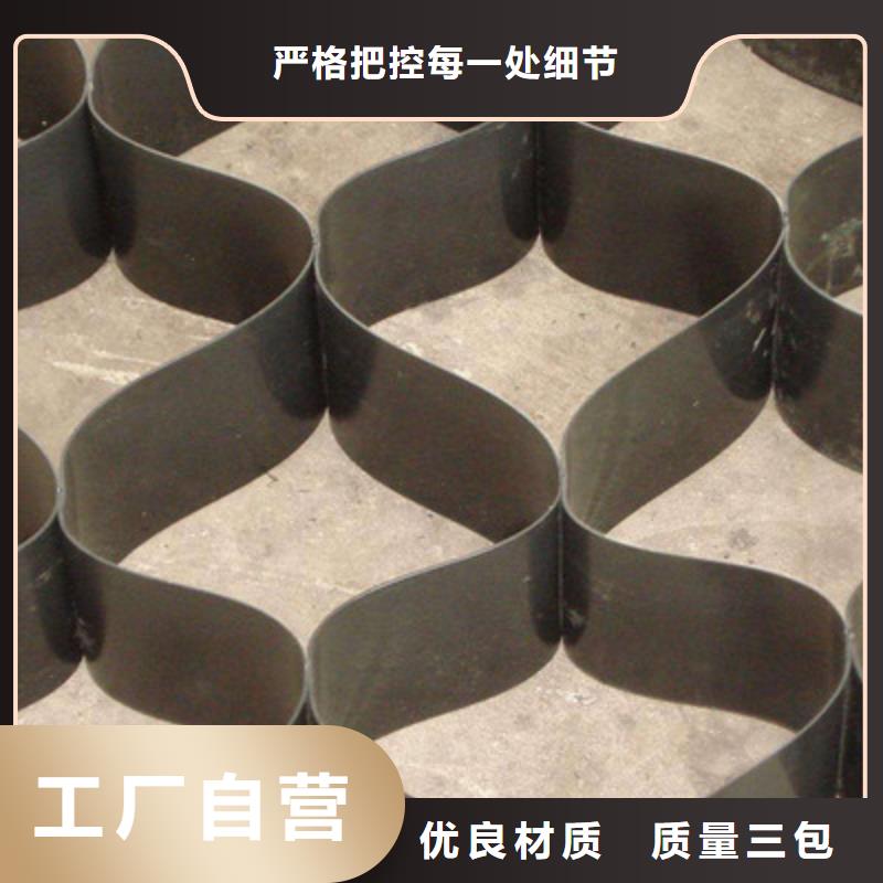 土工格室PP焊接土工格栅一个起售同城生产商
