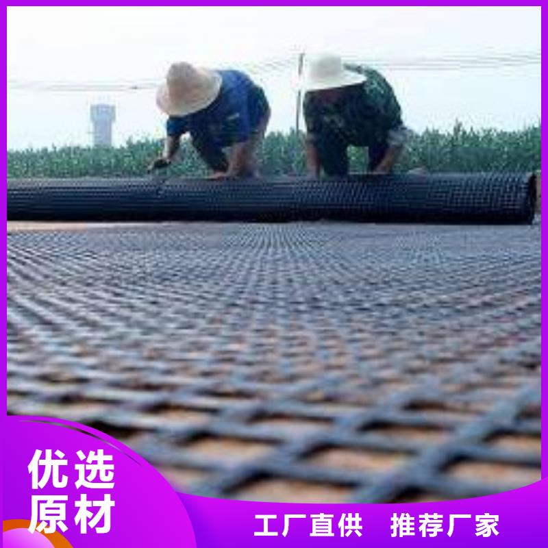 钢塑土工格栅三维植被网厂家批发价格同城品牌