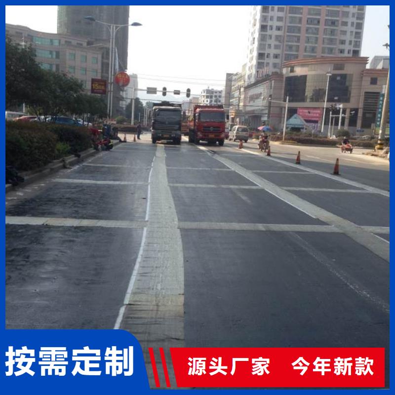 【钢塑土工格栅】三维植被网厂家现货批发定制速度快工期短