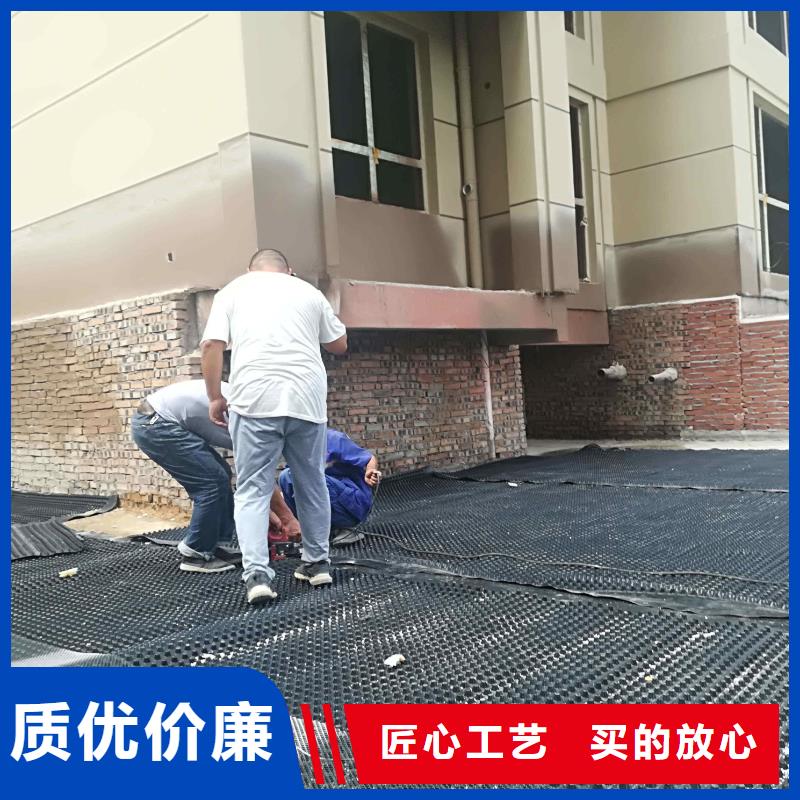 【塑料排水板】-单向塑料土工格栅服务周到精益求精