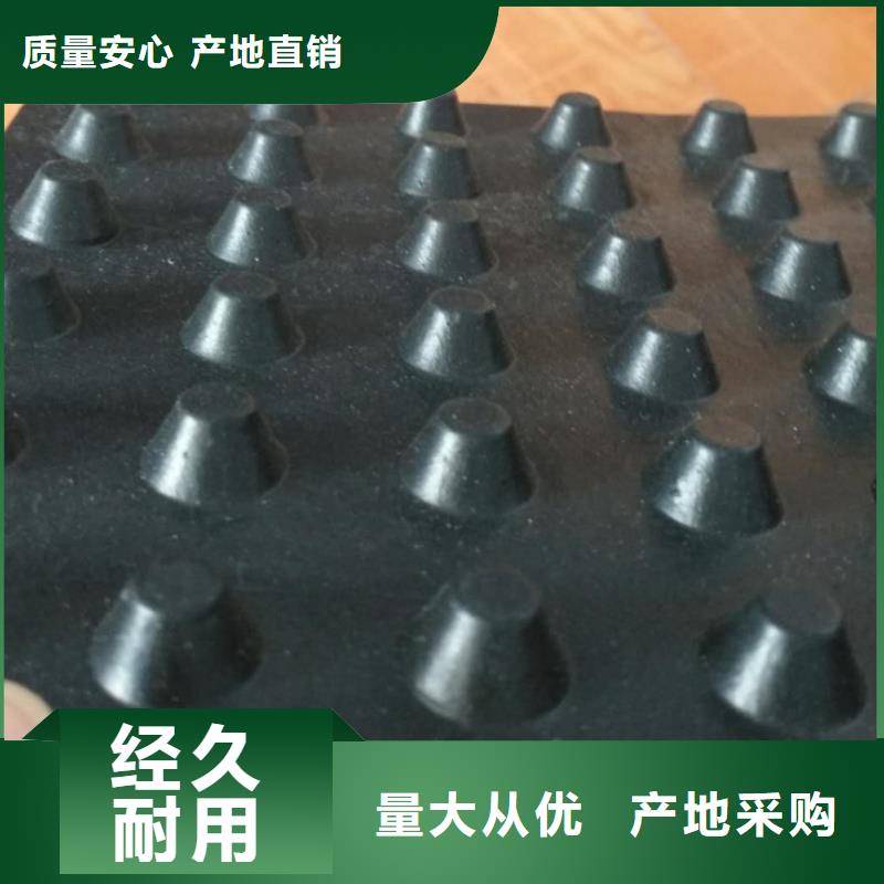 【塑料排水板】玻纤土工格栅高品质现货销售优选货源
