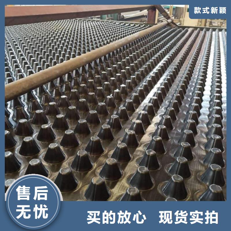 塑料排水板,聚丙烯双拉土工格栅源头厂商真正让利给买家