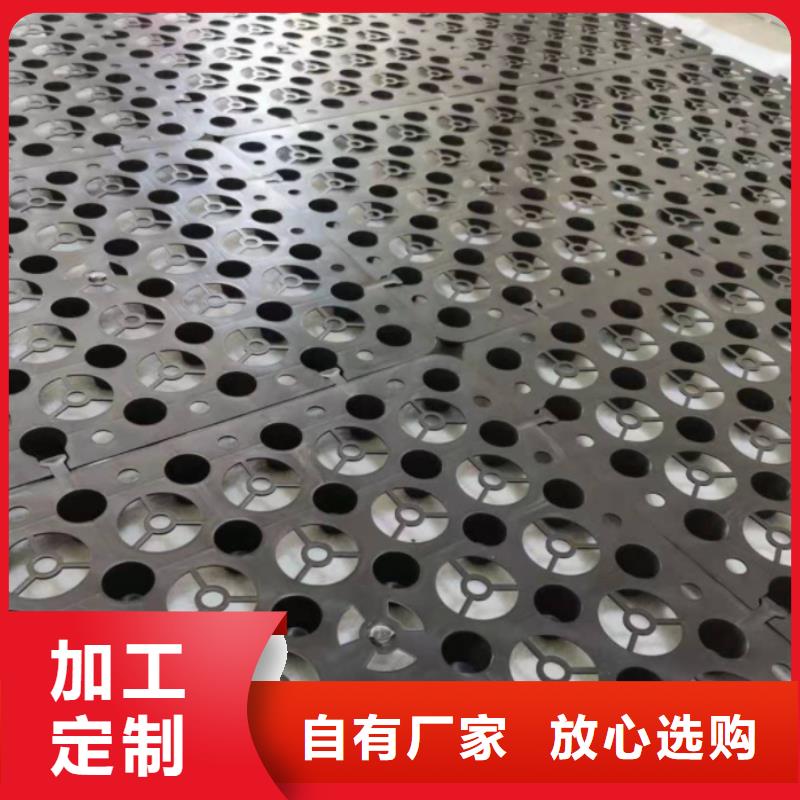 【塑料排水板】_双向塑料土工格栅品质优选联系厂家