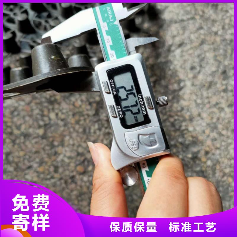 塑料排水板钢塑土工格栅厂家专业按需定制可定制