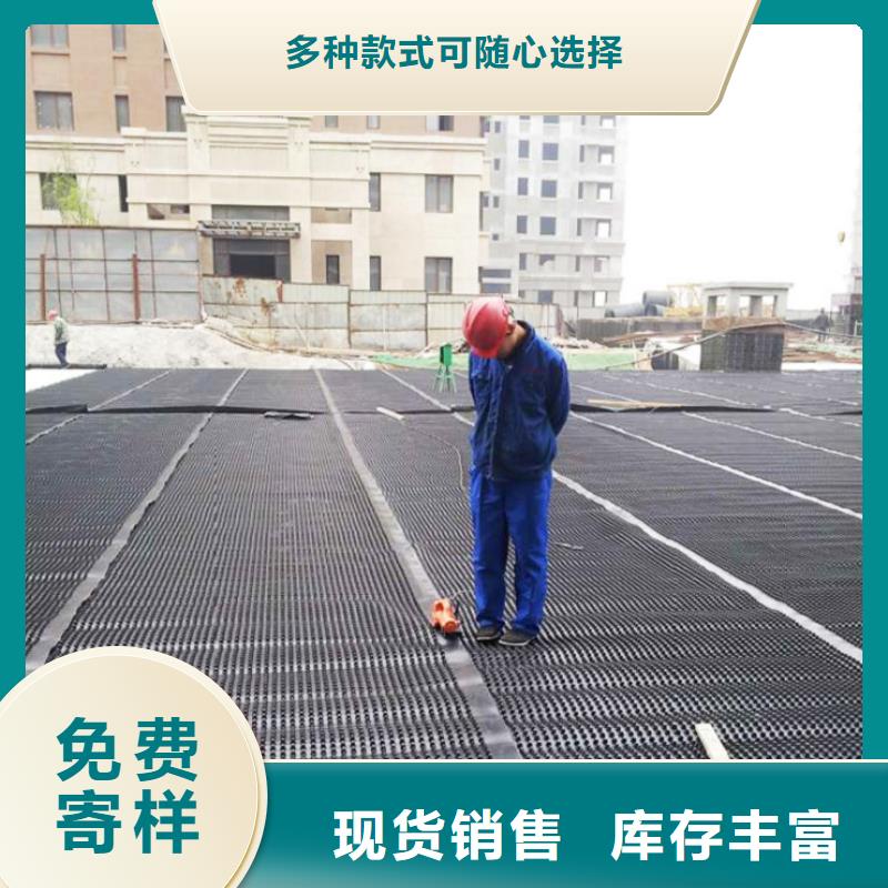 塑料排水板三维植被网厂家以质量求生存本地厂家