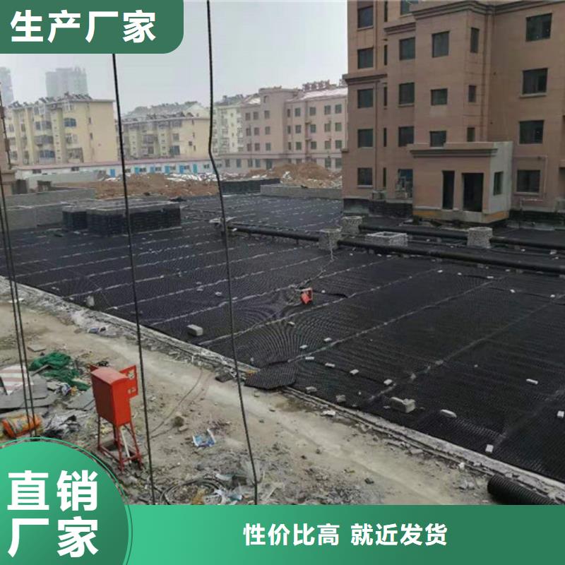 塑料排水板涤纶土工格栅产地厂家直销本地服务商