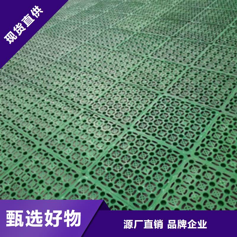 【塑料排水板钢塑土工格栅厂家源头直供】长期供应