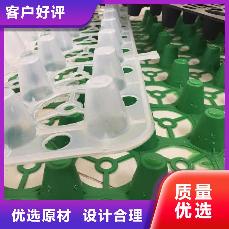 塑料排水板【护坡土工网】厂家拥有先进的设备本地制造商