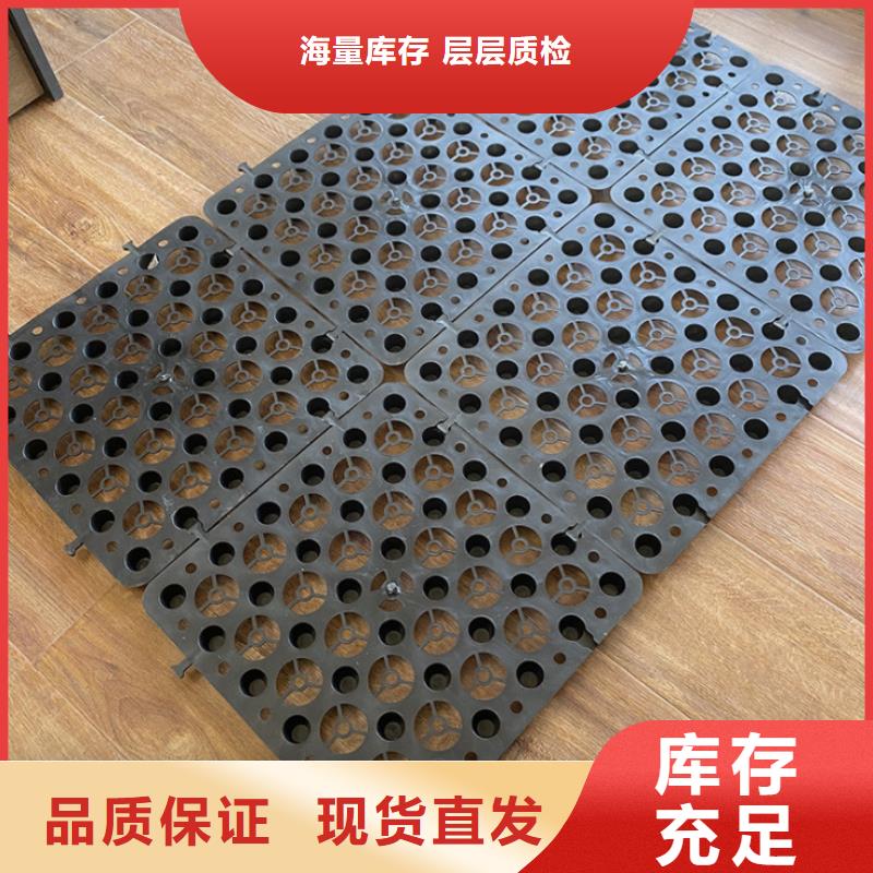 塑料排水板_三维植被网厂家源头厂家量大价优精工制作