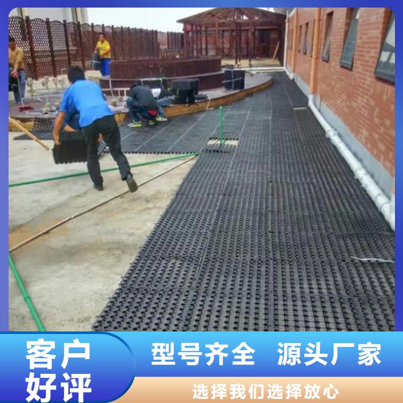 【塑料排水板性价比高】N年大品牌