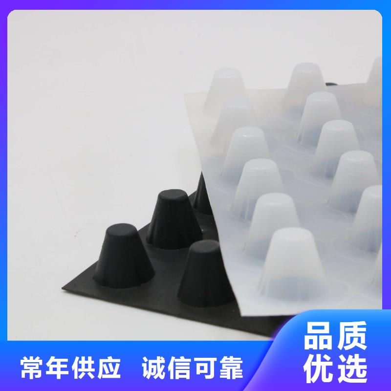 塑料排水板双向塑料土工格栅生产型本地货源