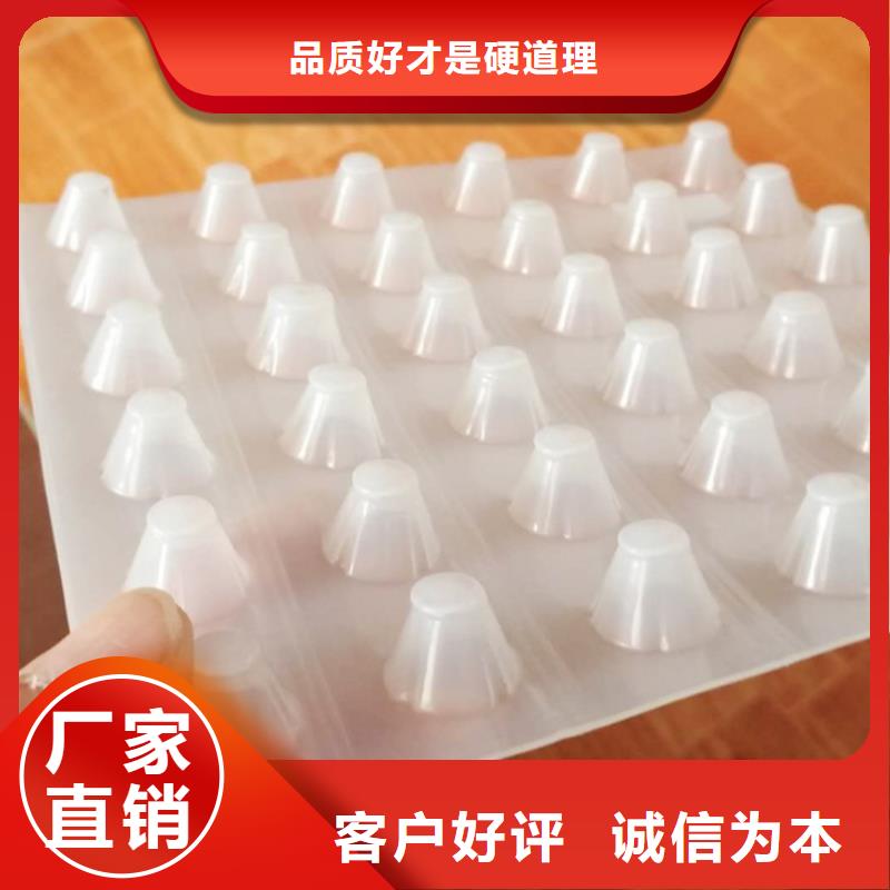 塑料排水板三维水土保护毯源头厂商质优价廉