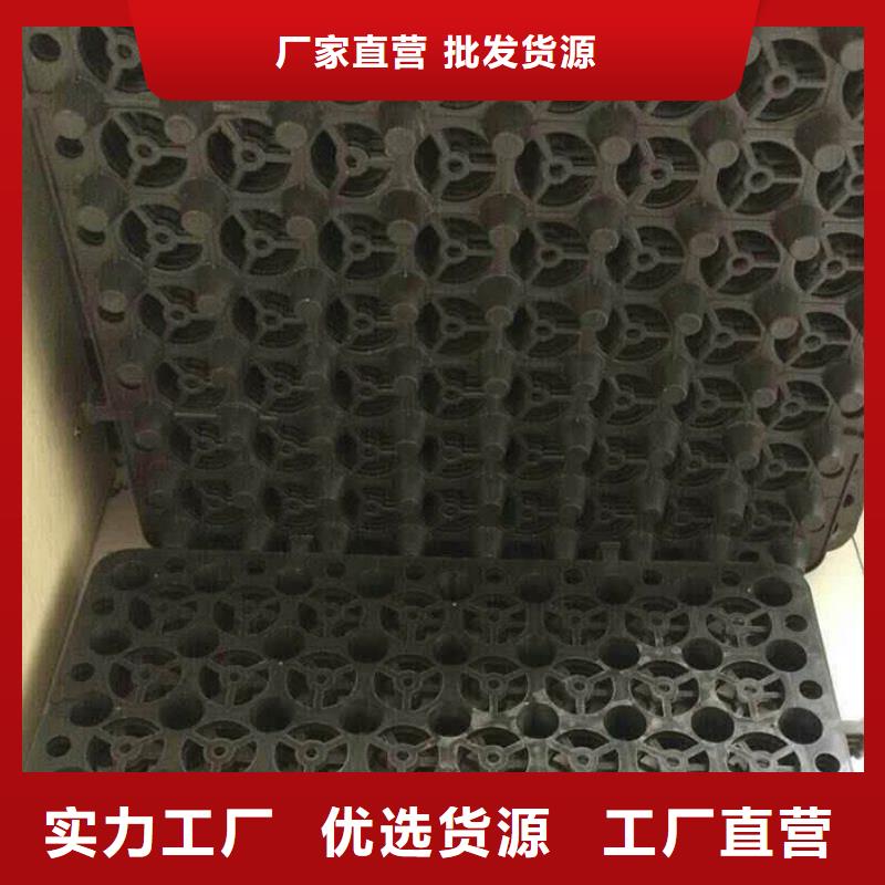 塑料排水板单向塑料土工格栅实体厂家支持定制定制定做