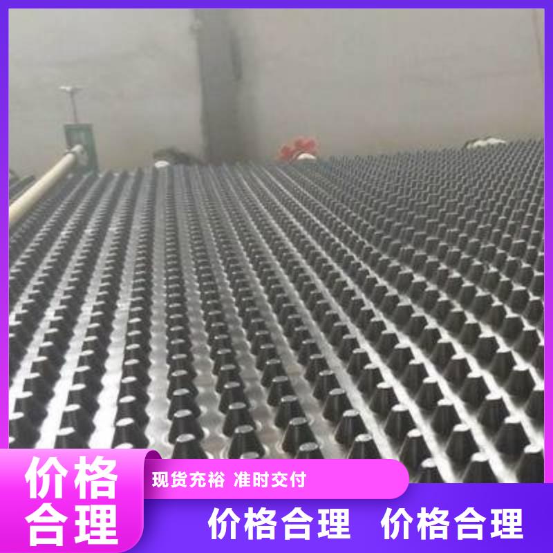 塑料排水板【玻纤土工格栅】信誉有保证就近发货