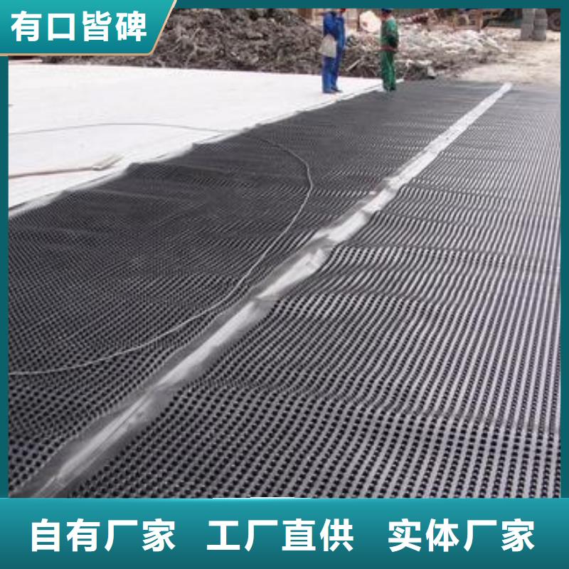 塑料排水板_三维水土保护毯专注细节使用放心当地货源