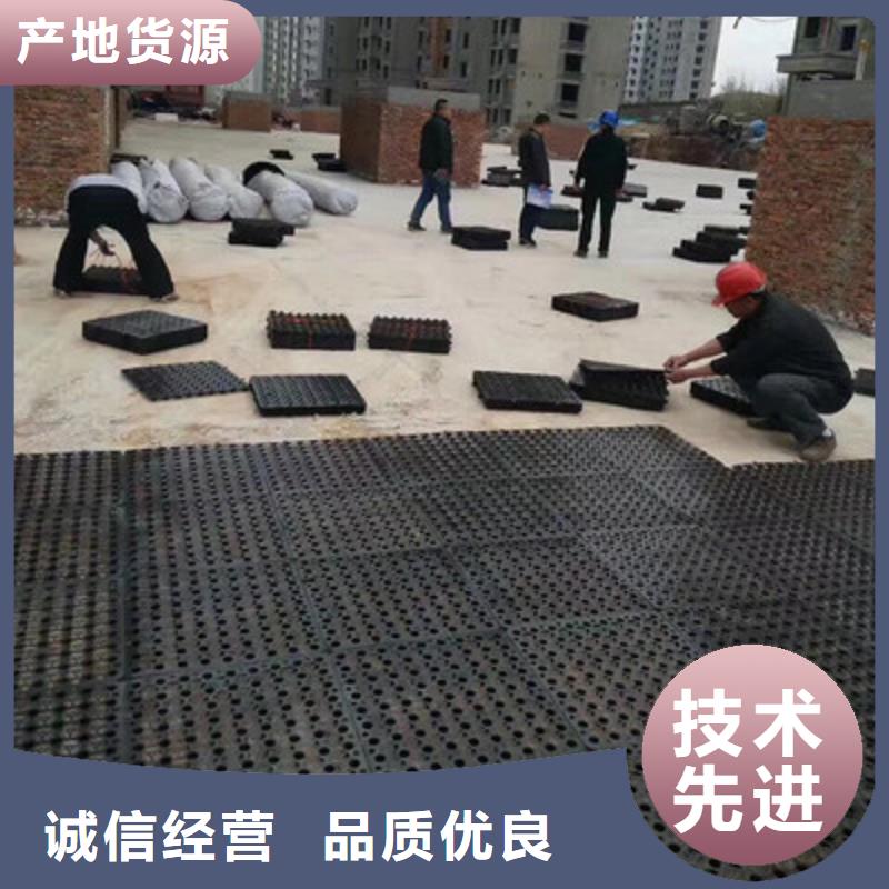 塑料排水板双向塑料土工格栅源头厂家来图定制精心打造