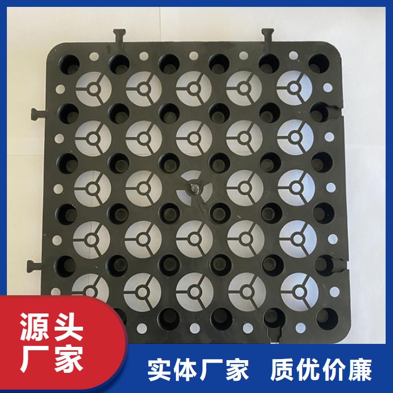 【塑料排水板三维植被网厂家专注生产N年】商家