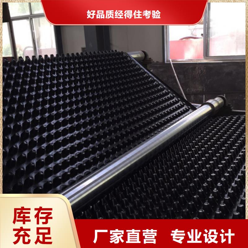 塑料排水板钢塑土工格栅品质信得过厂家供应