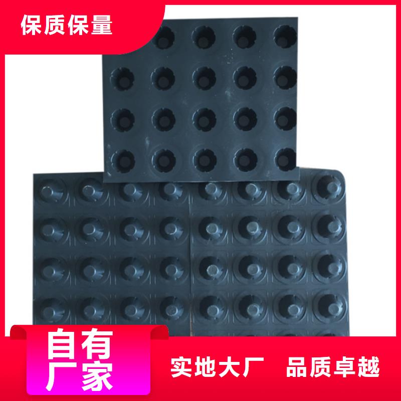 塑料排水板,双向塑料土工格栅品牌大厂家一手价格