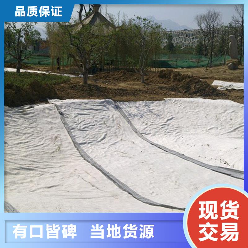 防水毯【涤纶土工格栅】工厂直营真正让利给买家